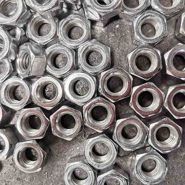 Scaffolding Accessories Bot Nut for Coupler
