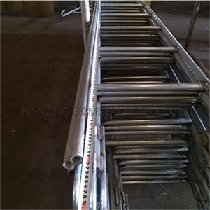 Scaffolding Gi Monkey Multi-Pole Double Ladder