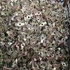 Scaffolding Accessories for Pressed Swivel Limpet Sleeve Coupler