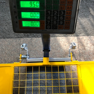 BS1139 Painted Scaffolding Safety Gate for Construction
