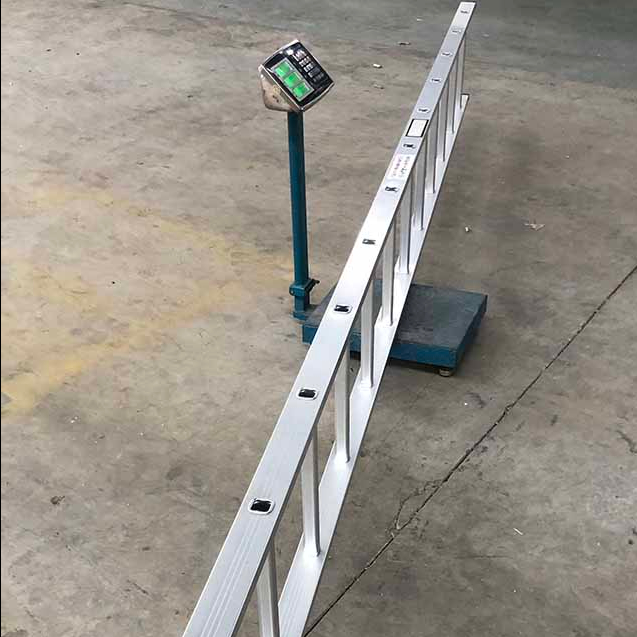 W390 Aluminium Scaffolding Vertical Ladder