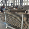 Walk Through Scaffolding