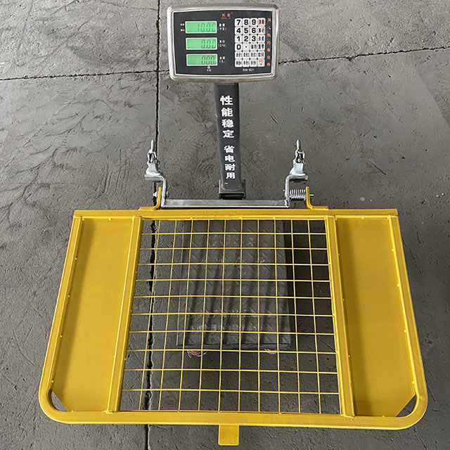 ladder access gate testing